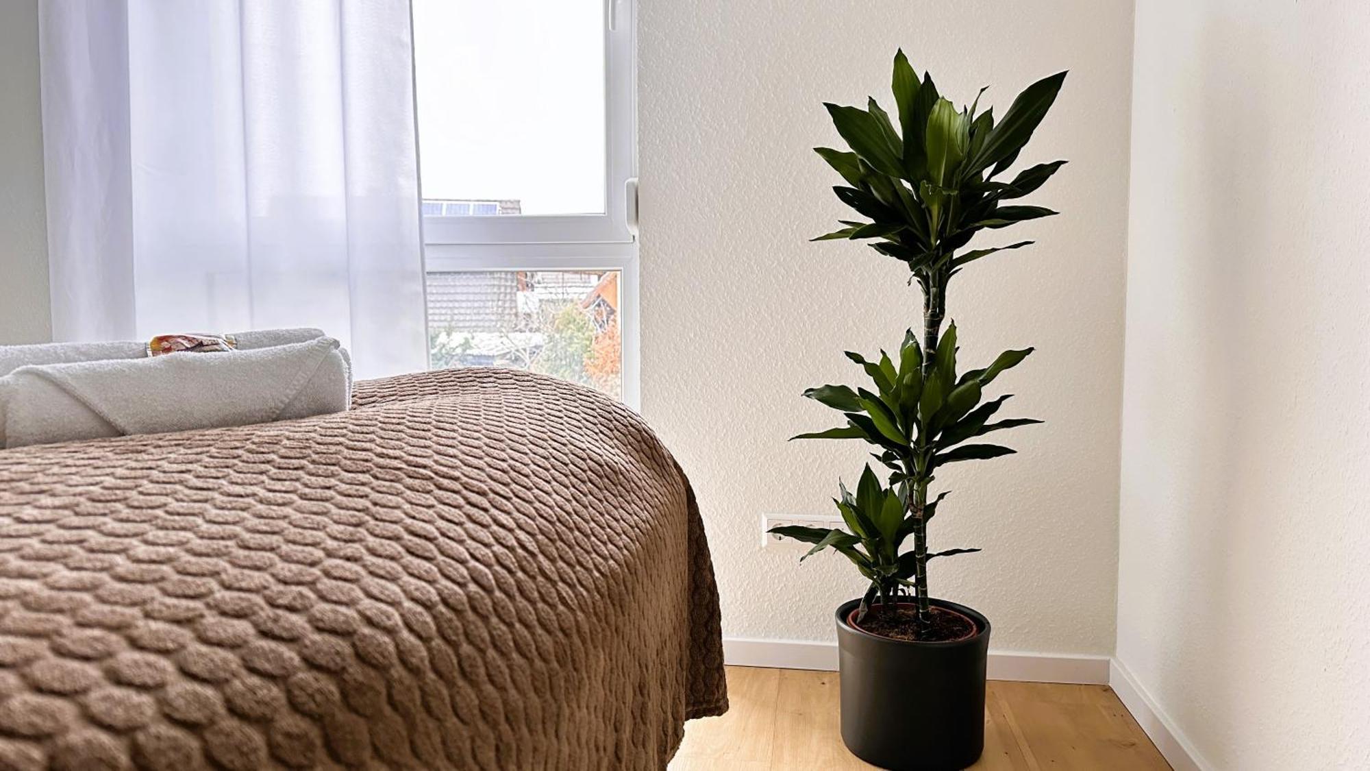 Amao-grey I 86qm I Modernes I 86qm I Balkon, Netflix I Parkplatz I Naehe Europa-park * Rheinhausen