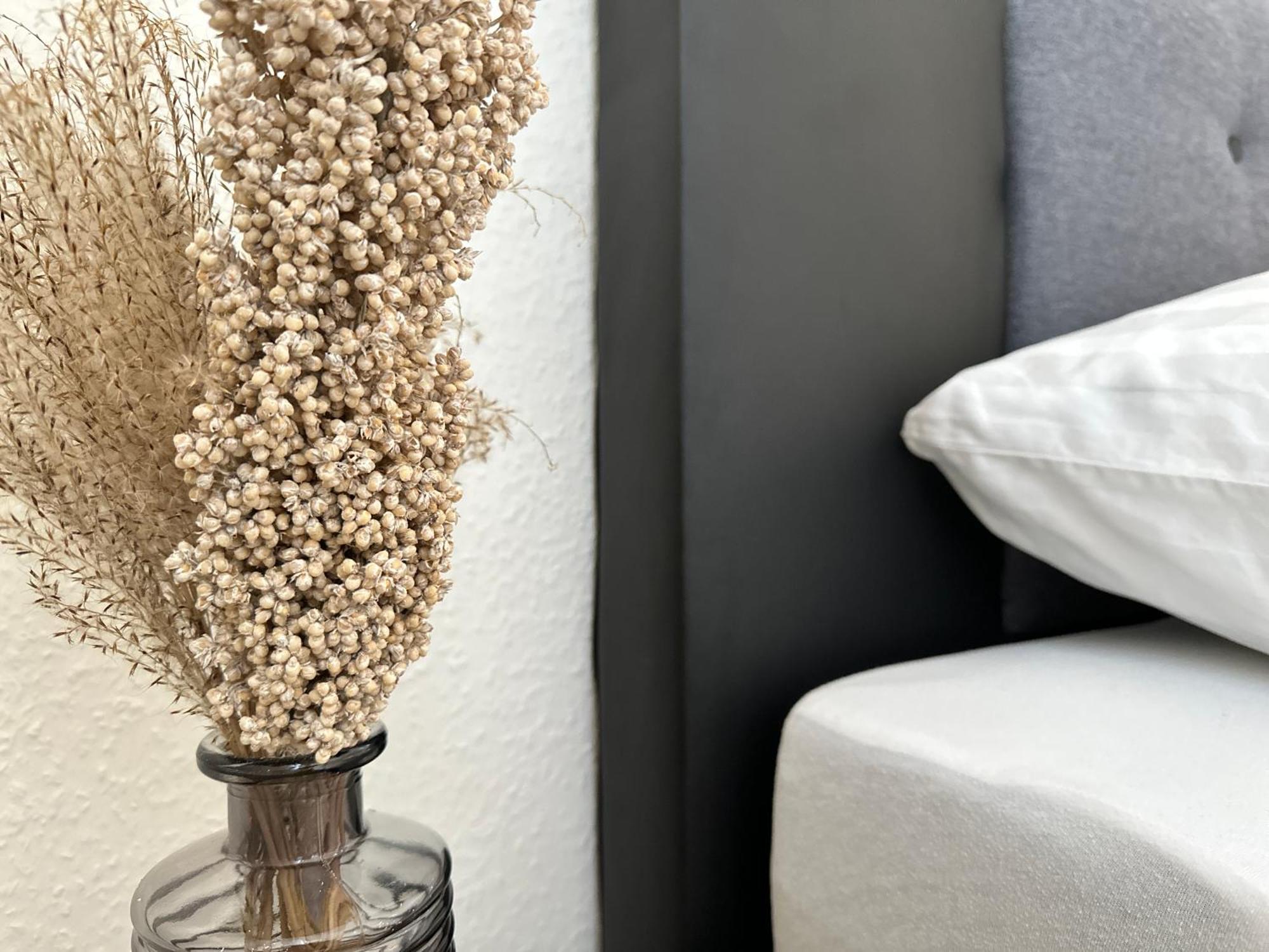 Apartment Amao-grey I 86qm I Modernes I 86qm I Balkon, Netflix I Parkplatz I Naehe Europa-park Rheinhausen
